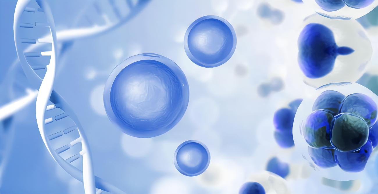 CD133、CD44、CD11b在急性髓系白血病中的表達(dá)及其與臨床預(yù)后的相關(guān)性研究